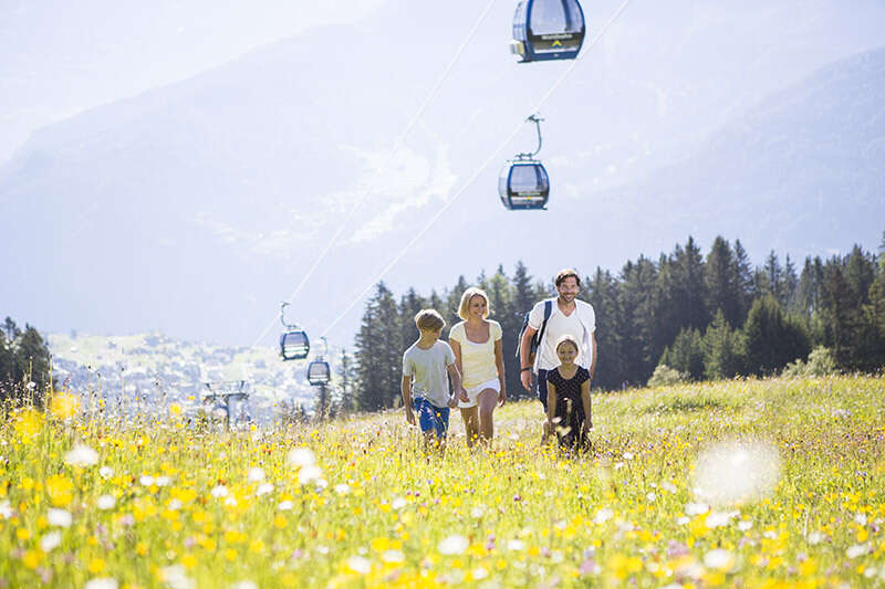  Family hiking in summer